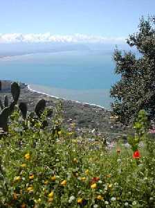 We are continually refining and adding to our portfolio of Nice Places to stay in Italy, so visit our site regularly to find somewhere just that little bit special. All our places to stay are presented with photos and descriptions taken and selected by us personally to give an impression as true to the reality as we can. All places are chosen by our team here in Italy for their combination of price, quality, charm and location. We work in partnership with family run hotels, guest houses and self-catering accommodations. This is NOT an unverified 'web portal' or online directory - we select only those places which we believe make excellent places to base a 1 week holiday or longer.